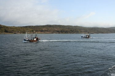 Fishing boats